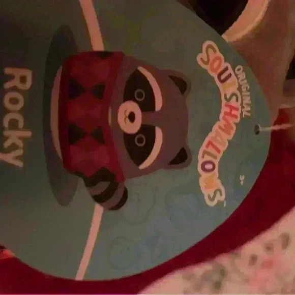 Squishmallow Rocky the Raccoon with sweater 8inch bundled with Hans Hedgehog - Picture 3 of 8